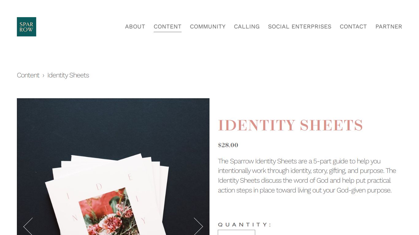 Identity Sheets — Sparrow Collective